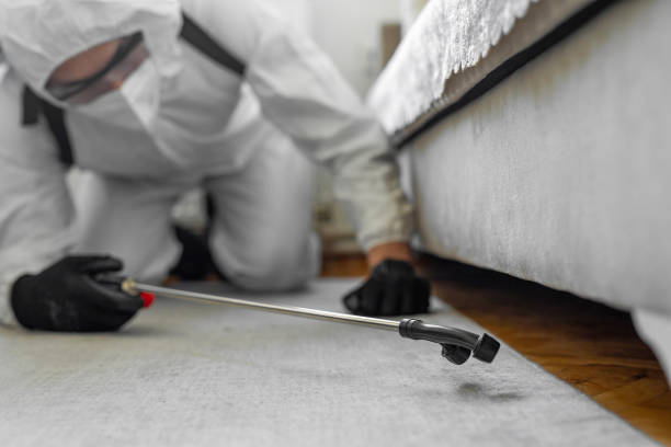 Professional Bed Bug Control technician working in Maquoketa, IA