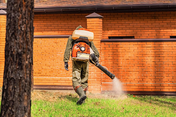 Trusted Emergency Pest Control service in Maquoketa, IA - Nex Pest Control